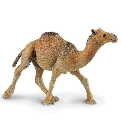 SAFARI 222429 VELBLOUD JEDNOHRBÝ