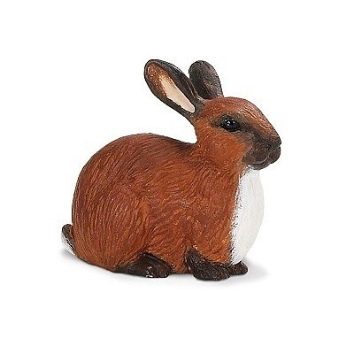 SAFARI 245429 KRÁLÍK