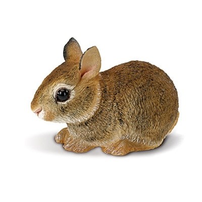 SAFARI 262129 KRÁLÍK VÝCHODOAMERICKÝ MLÁDĚ