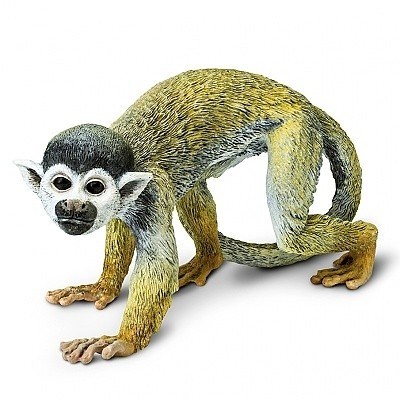 SAFARI 269829 KOTUL