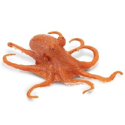 SAFARI 274429 CHOBOTNICE