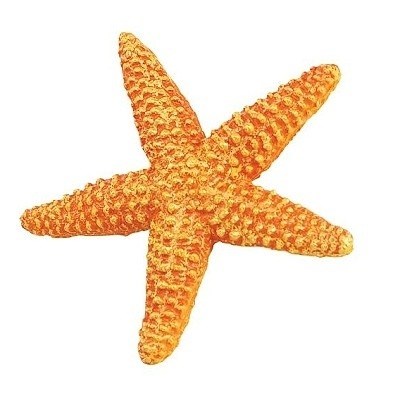 SAFARI 276829 HVĚZDICE ORANŽOVÁ