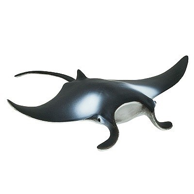 SAFARI 277729 MANTA OBROVSK