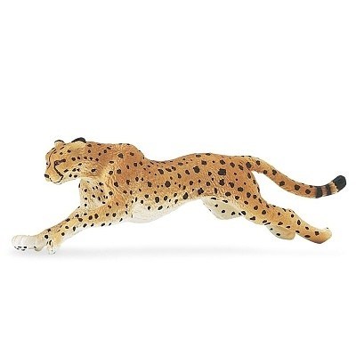 SAFARI 290429 GEPARD