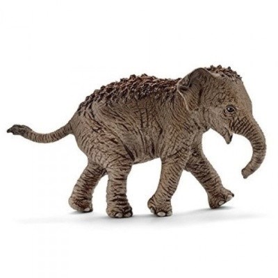 SCHLEICH 14755 SLON ASIJSK SLN 