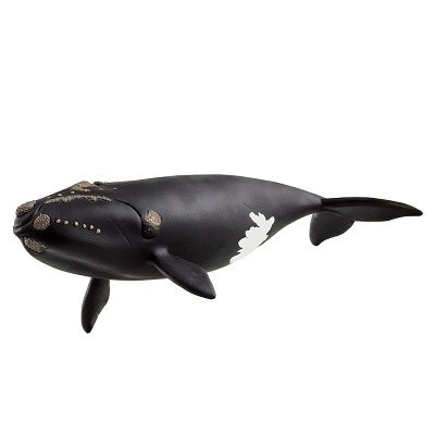 SCHLEICH 14878 VELRYBA SEVEROATLANTICKÁ