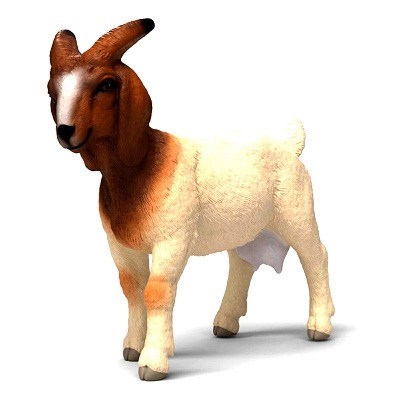 SCHLEICH 14929 Burská koza