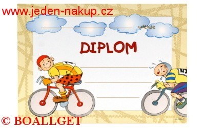 Diplom A4 Studio