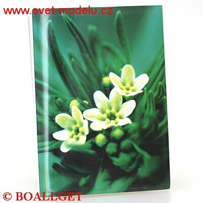 Fotoalbum  sešitové ( motiv 3 ) 9 x 13 - 36 foto - DP3536