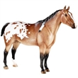 BREYER KŮŇ INDIAN PONY
