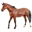 BREYER KŮŇ VICKI WILSON KENTUCKY