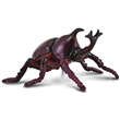 COLLECTA 88337 NOSOROK RHINOCEROS BEETLE