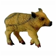 COLLECTA 88365 DIVOKÉ PRASE MLÁDĚ