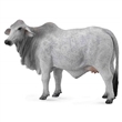 COLLECTA 88580 KRVA BRAHMAN