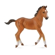 COLLECTA 88587 K QUARTER FOAL HB