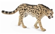 COLLECTA 88608 GEPARD KRLOVSK