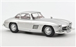 Mercedes-Benz 300 SL 1954 Silver