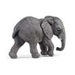 PAPO 50169 SLON AFRICK MLD
