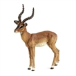 PAPO 50186 ANTILOPA IMPALA