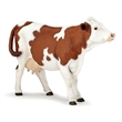 PAPO 51165 KRVA MONTBELIARDE
