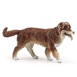 PAPO 54038 AUSTRALSK SHEPHERD