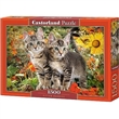 PUZZLE CASTORLAND 1500 dlk 151899 KOATA