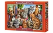 PUZZLE CASTORLAND 2000 dlk 200726 KOI DM