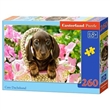 PUZZLE CASTORLAND 260 dlk 27514 TN