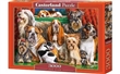 PUZZLE CASTORLAND 3000 dlk 300501 PSI