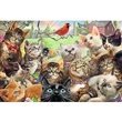 PUZZLE TREFL 260 dlk 13241 KOKY