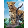 PUZZLE TREFL 500 dlk 37332 LEOPARD