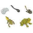 SAFARI 100057 IVOTN CYKLUS BA ECO PACK