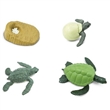 SAFARI 100059 IVOTN CYKLUS ELVA ECO PACK