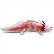 SAFARI 104650 AXOLOTL MEXICK