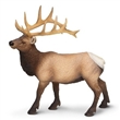SAFARI 180329 WAPITI Z�PADN�