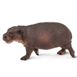 SAFARI 229229 HROK LIBERIJSK