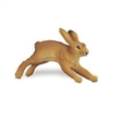 SAFARI 233529 DIVOK KRLK