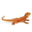 SAFARI 263129 AGAMA VOUSAT