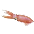 SAFARI 266229 OLIHE OBECN