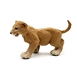 SAFARI 271329 LVE