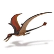 SAFARI 300329 RHAMPHORHYNCHUS