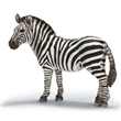 ZEBRA SAMICE