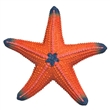 SCHLEICH 14902 Mořská hvězdice měnící barvy