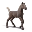 SCHLEICH 81460 SBĚRATELSKÉ HŘÍBĚ DARCY