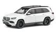 MERCEDES-BENZ GLS W/AMG WHEELS DIAMOND WHITE 2020